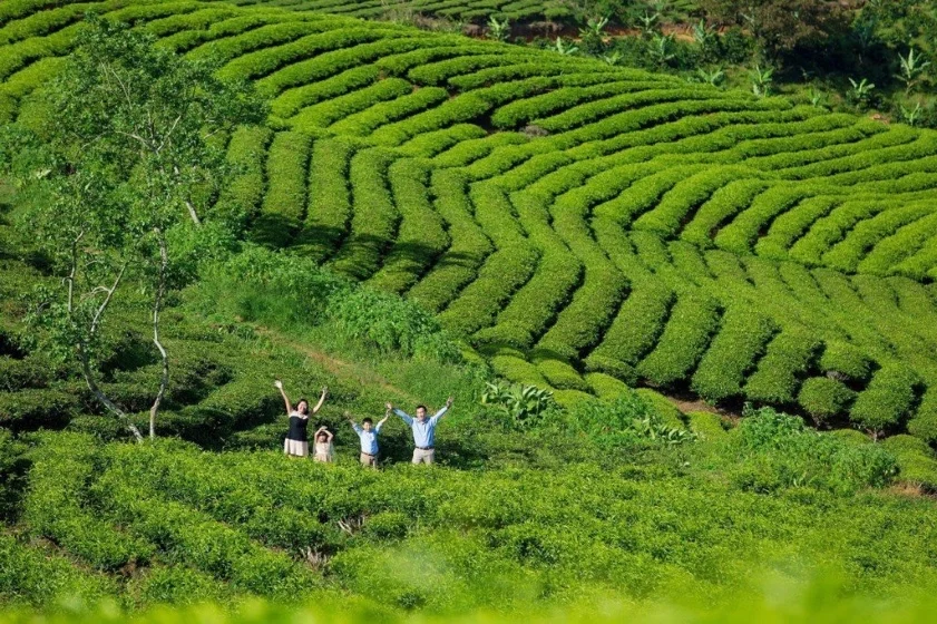 Tour 2N1D Xách Balo Lên Đà Lạt