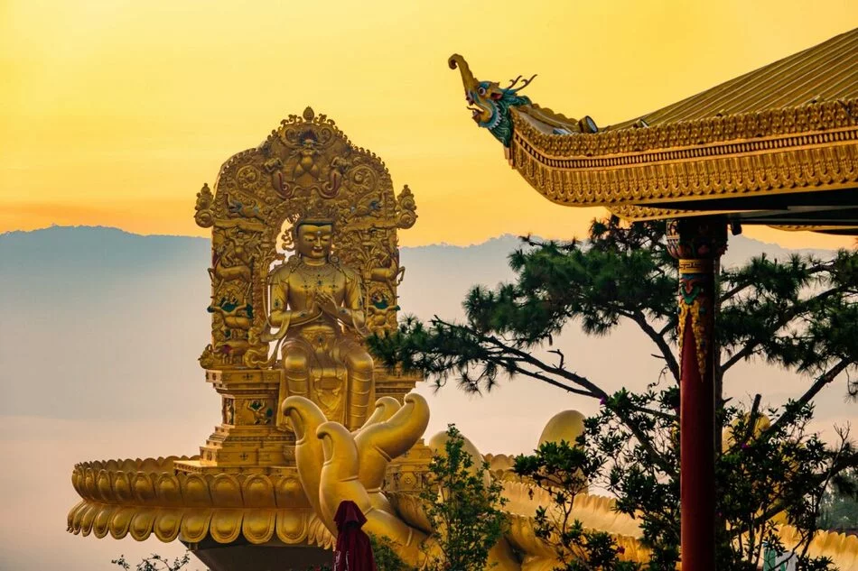Tour 5N4D Chơi Hết Mình Ở Đà Lạt 5 Ngày
