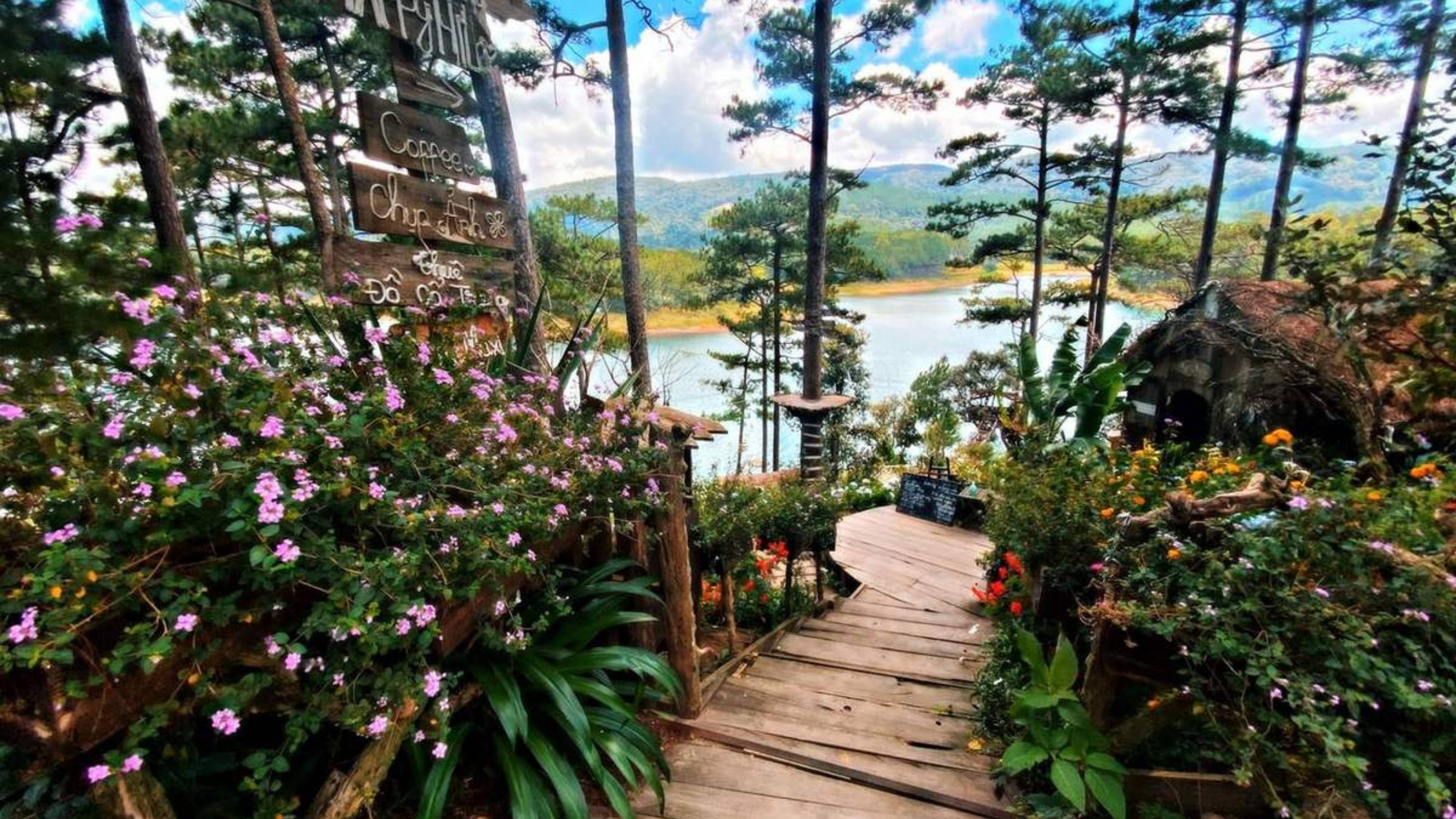 TOUR CAO NGUYÊN LÂM VIÊN - RỰC RỠ SẮC HOA | 3 NGÀY 2 ĐÊM