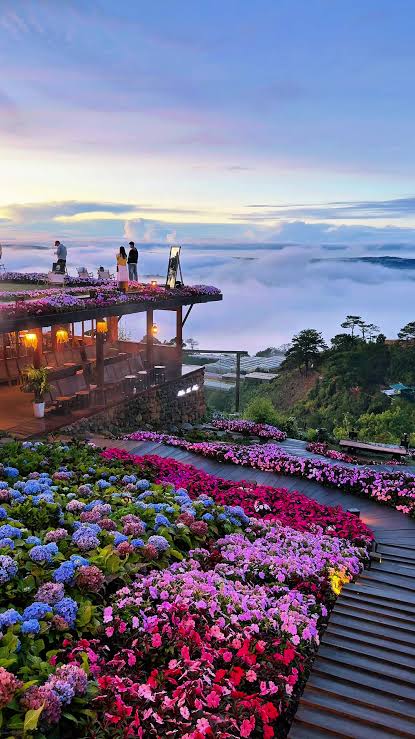 Tour 1 Ngày Đi Đâu Cũng Zui