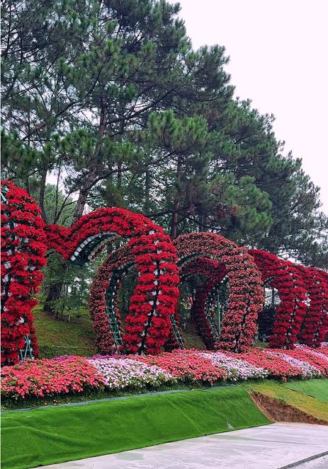 Tour 1 Ngày Khám Phá Tứ Phương