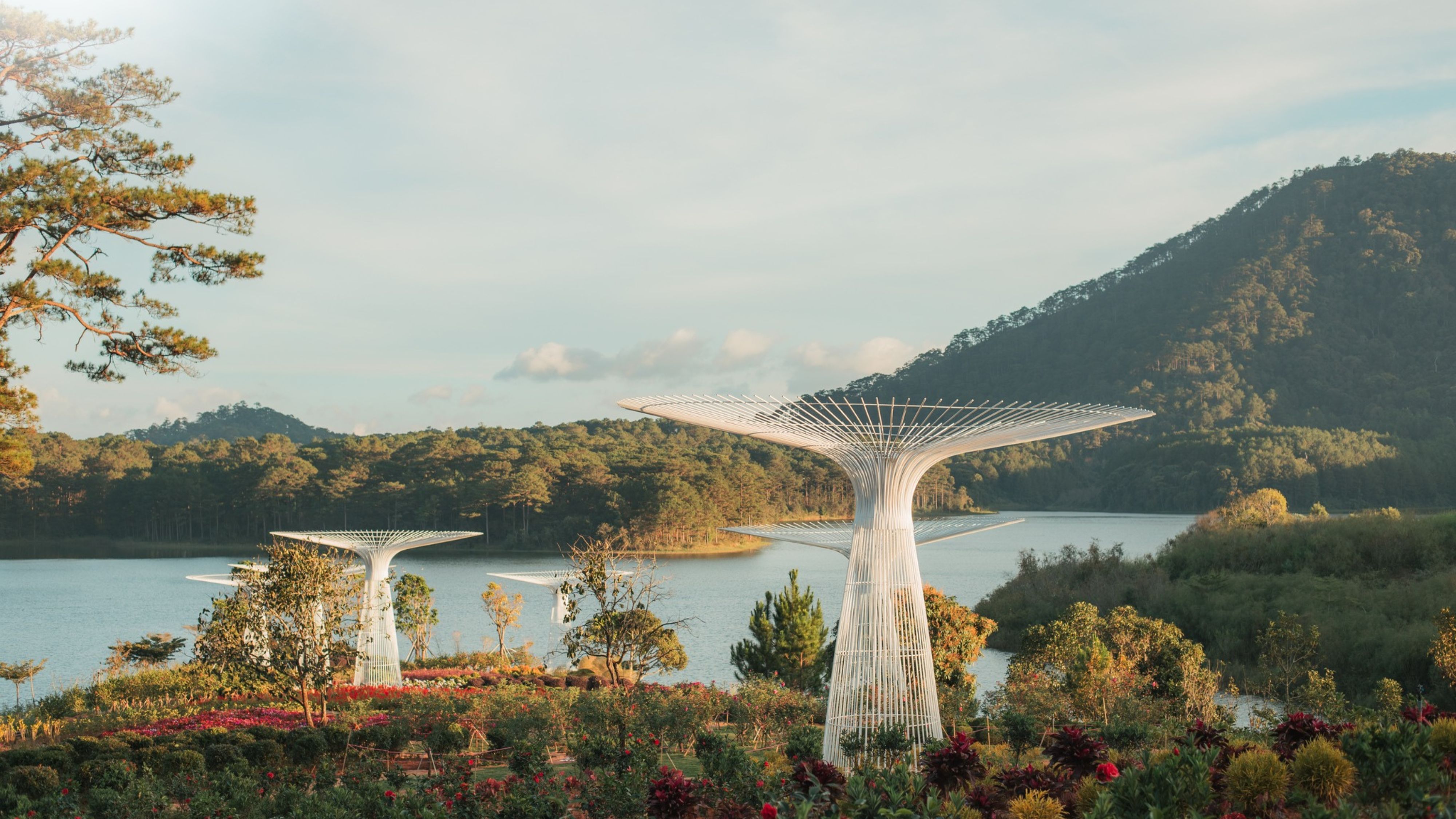 LẠC GIỮA GIẤC MƠ HOA | TOUR 1 NGÀY