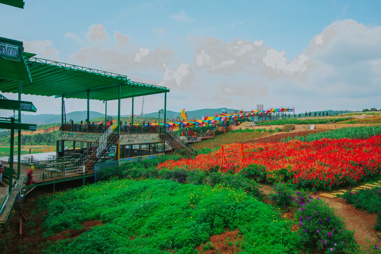 Tour 4N3D Tâm Về Miền Cao Nguyên