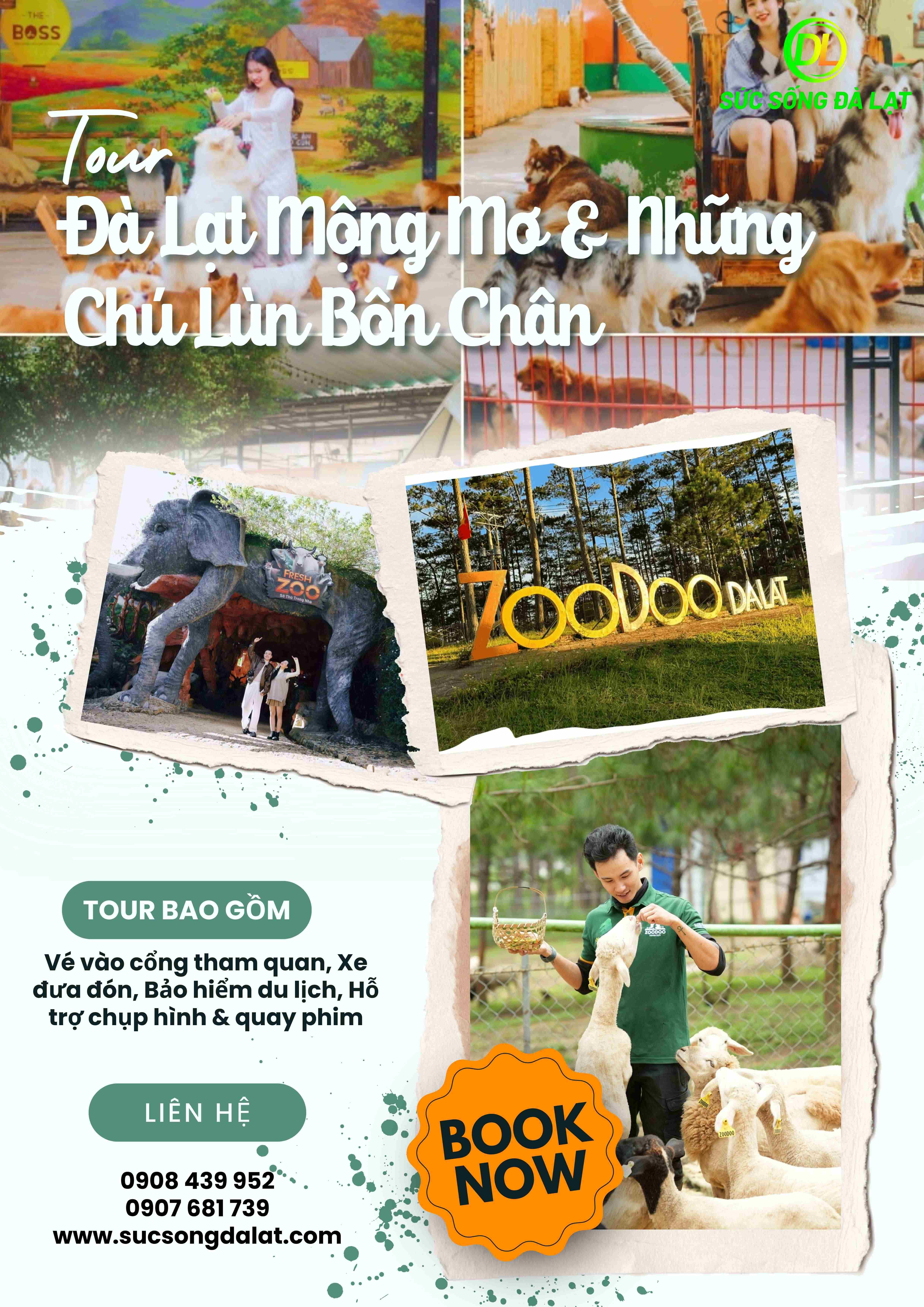 TOUR ĐÀ LẠT MỘNG MƠ VÀ NHỮNG CHÚ LÙN BỐN CHÂN | TOUR 1 NGÀY