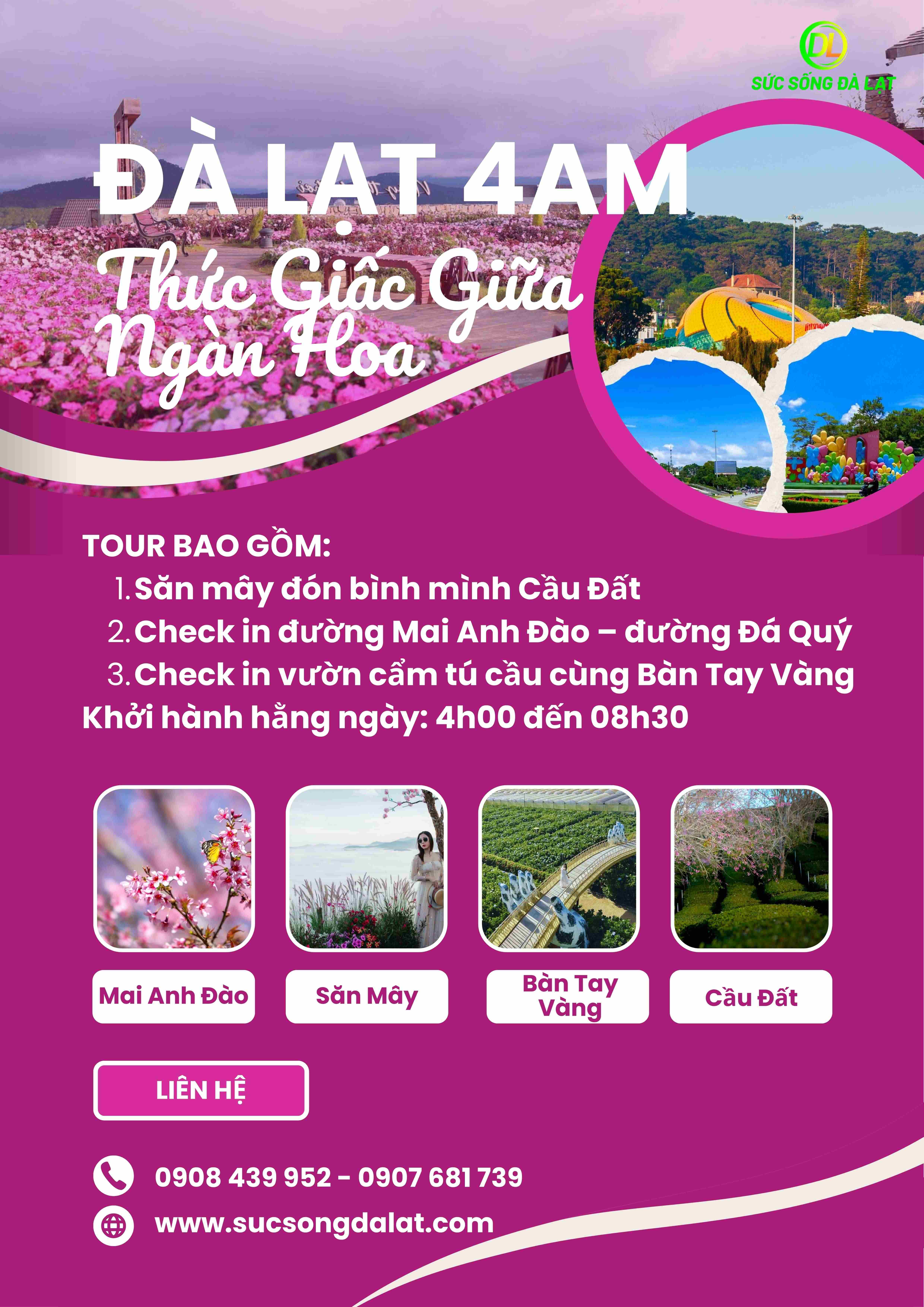 TOUR ĐÀ LẠT 4:00 AM - THỨC GIẤC GIỮA NGÀN HOA