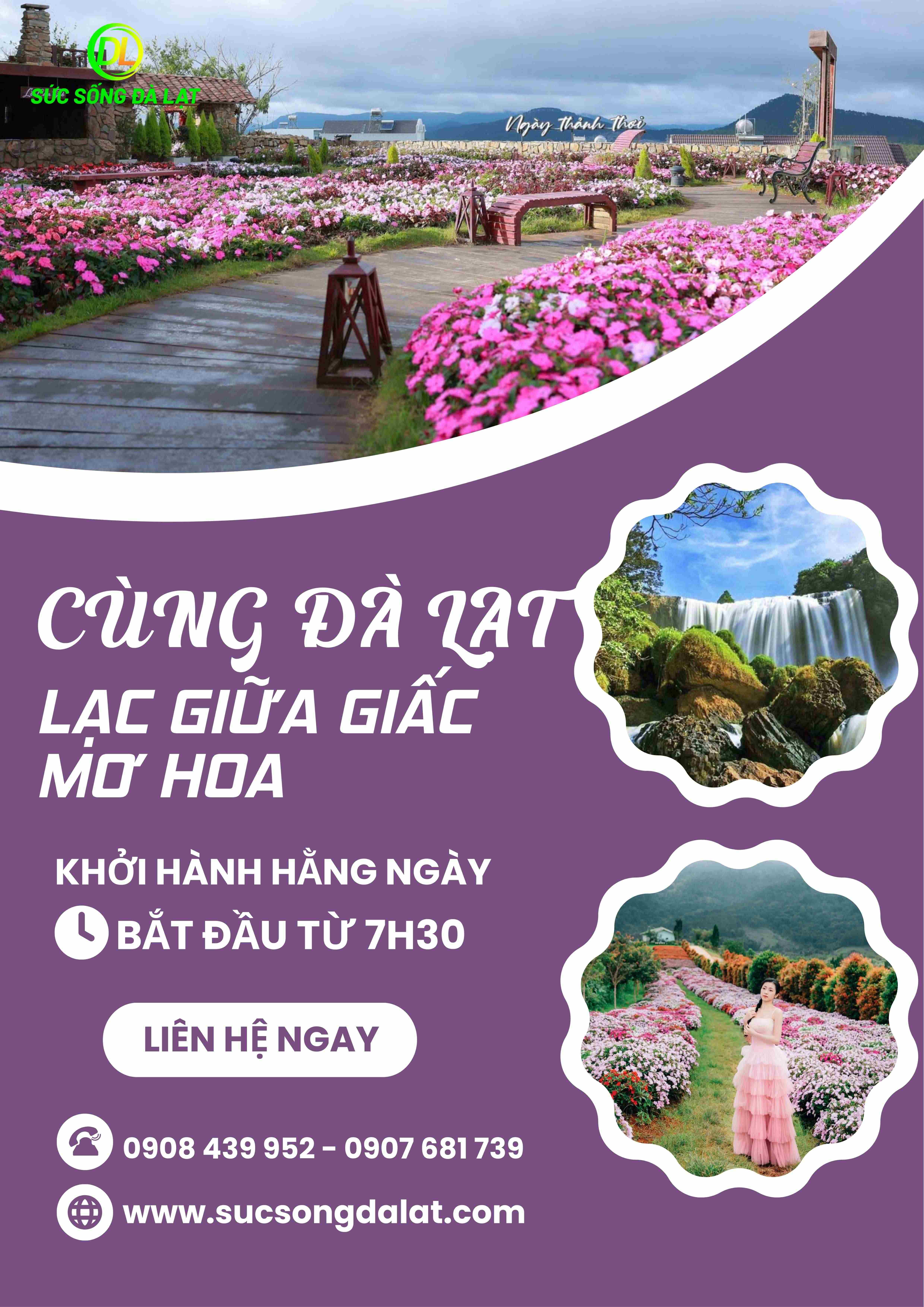 LẠC GIỮA GIẤC MƠ HOA | TOUR 1 NGÀY