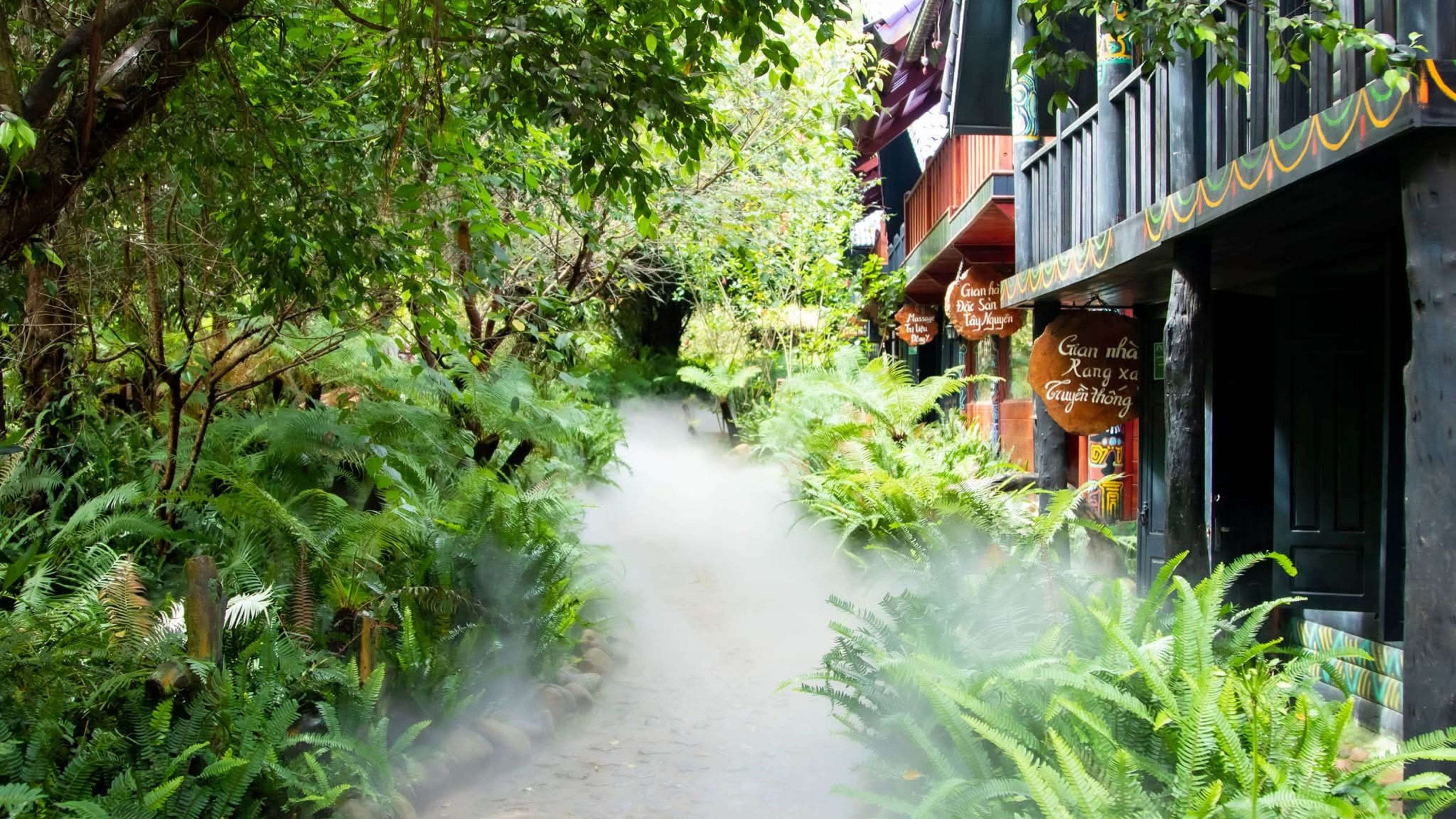 TOUR HÀNH TRÌNH XANH I TOUR NỬA NGÀY