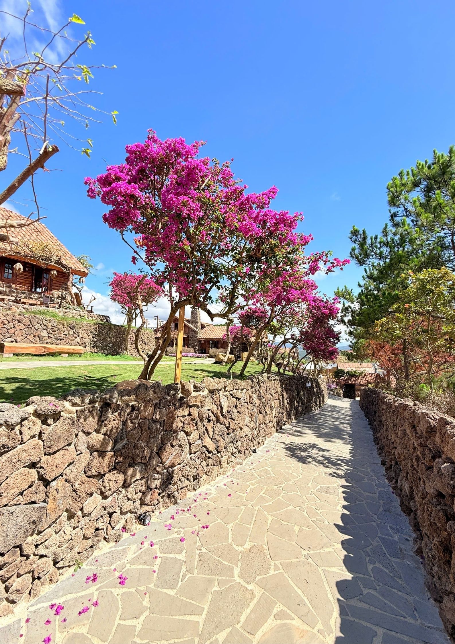 Tour 3N2D Trải Nghiệm Cảnh Đẹp Trên Cao Nguyên