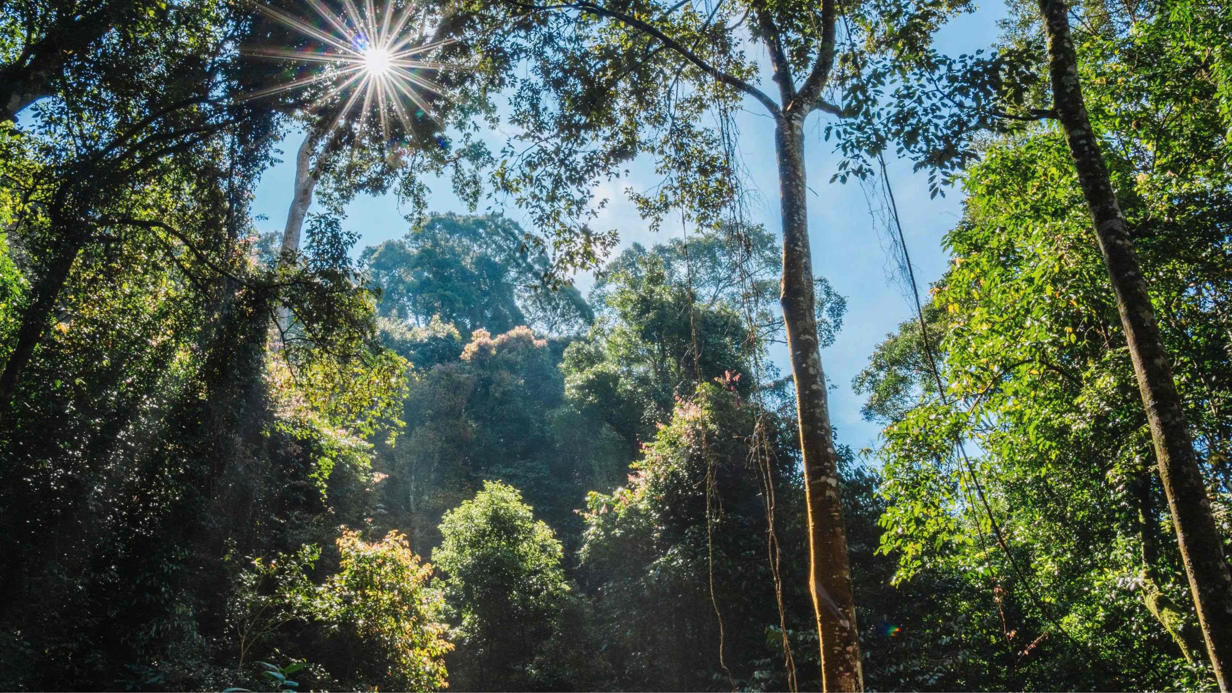 TOUR 1 NGÀY CÙNG TIẾNG GỌI ĐẠI NGÀN I TOUR 1 NGÀY