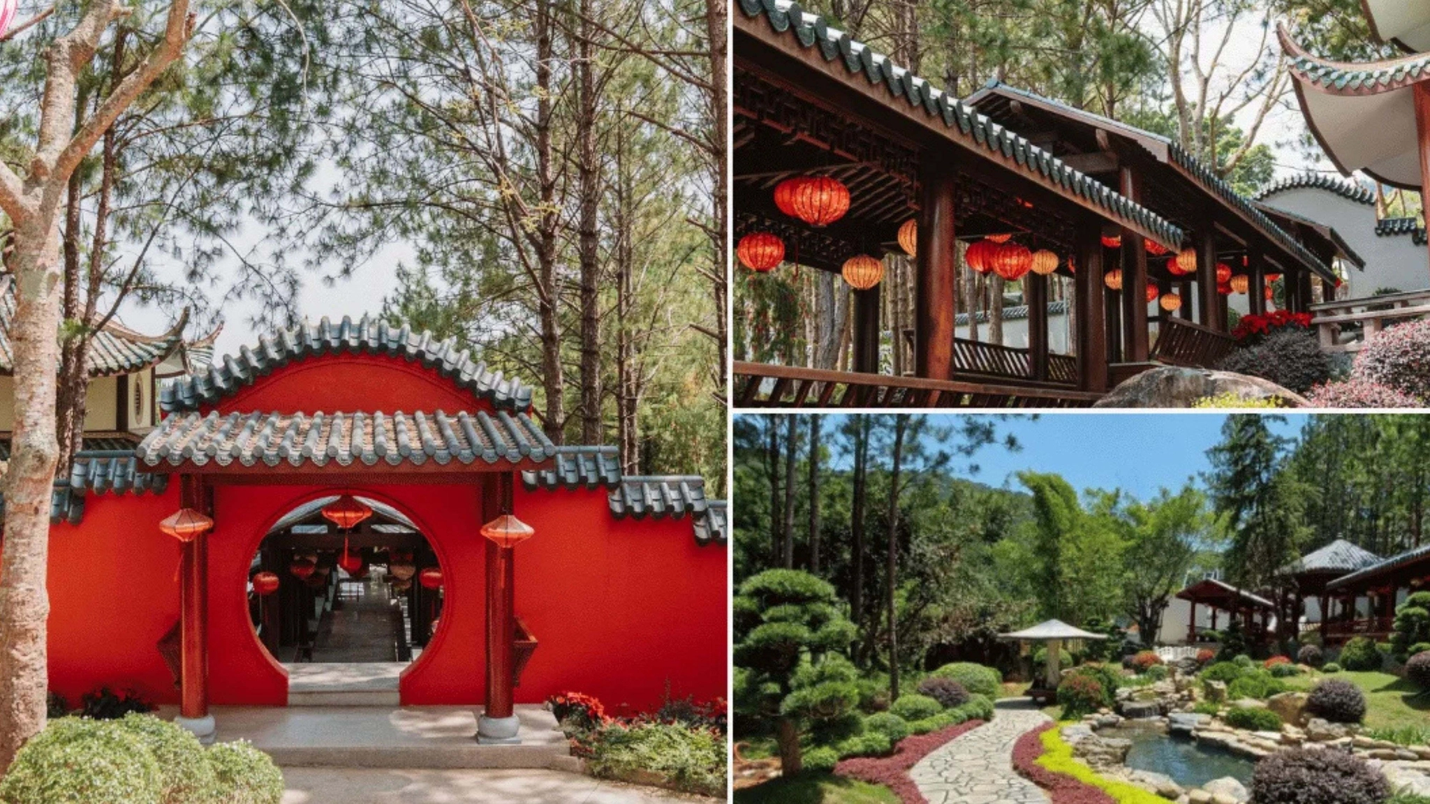 TOUR NỬA NGÀY - CHẠM HƯƠNG ĐÀ LẠT
