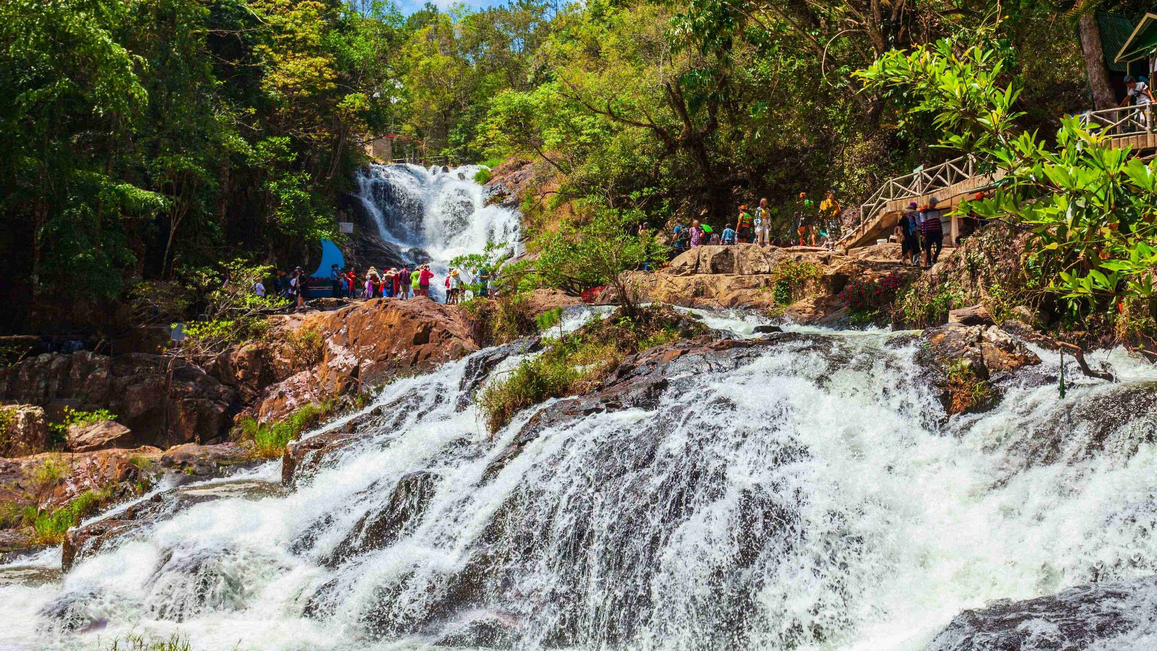 TOUR HƠI THỞ NGÀN THÔNG | TOUR NỬA NGÀY