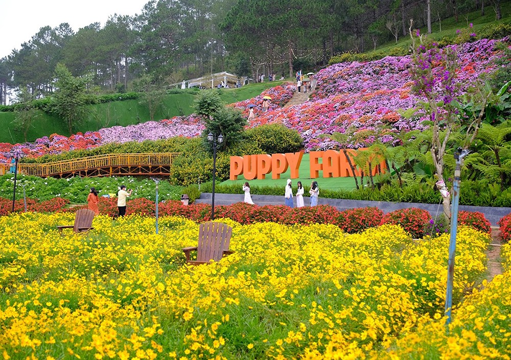 Tour 1 Ngày Đi Đâu Cũng Zui