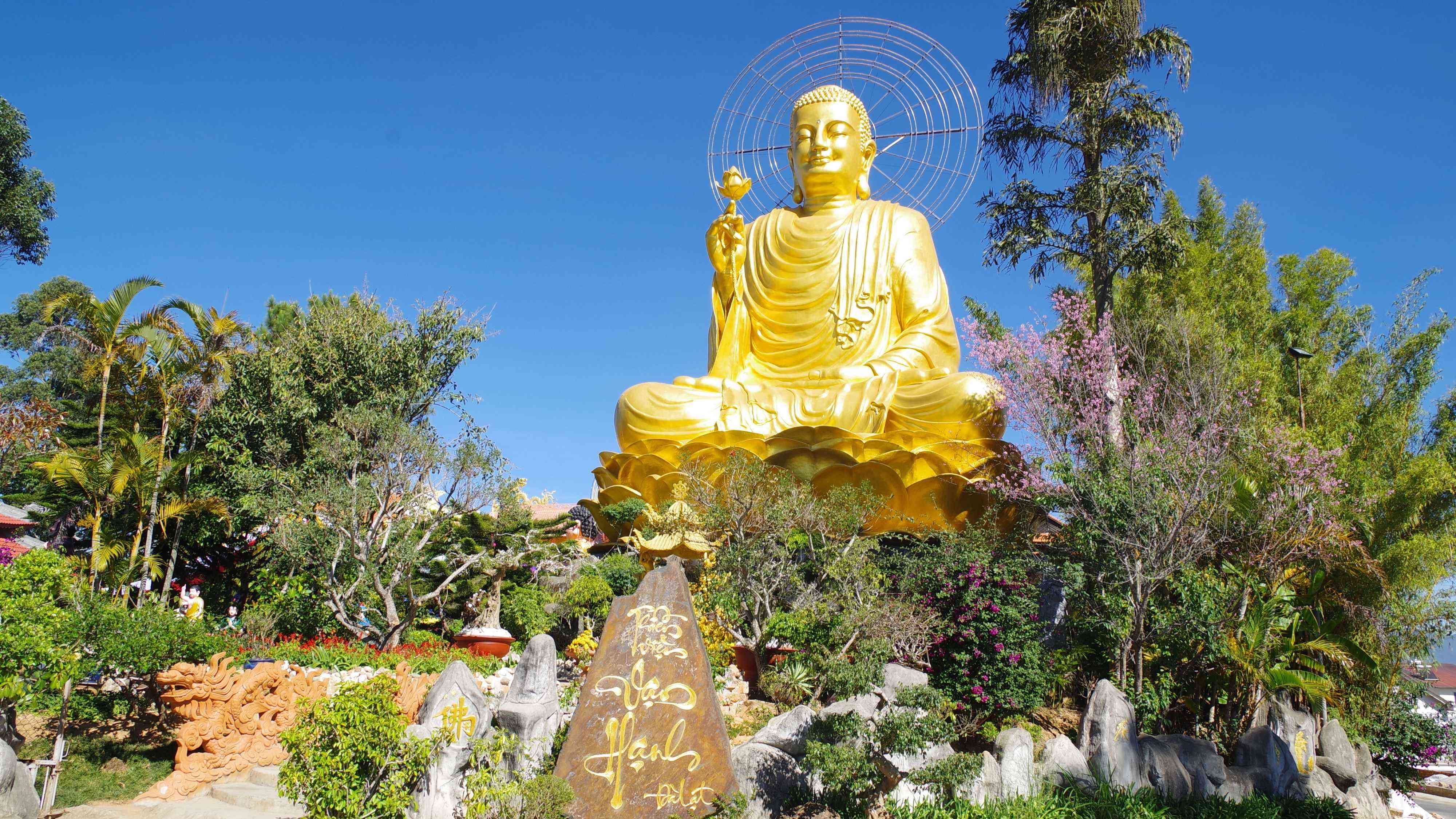 TOUR HÙNG VĨ CAO NGUYÊN | TOUR NỬA NGÀY