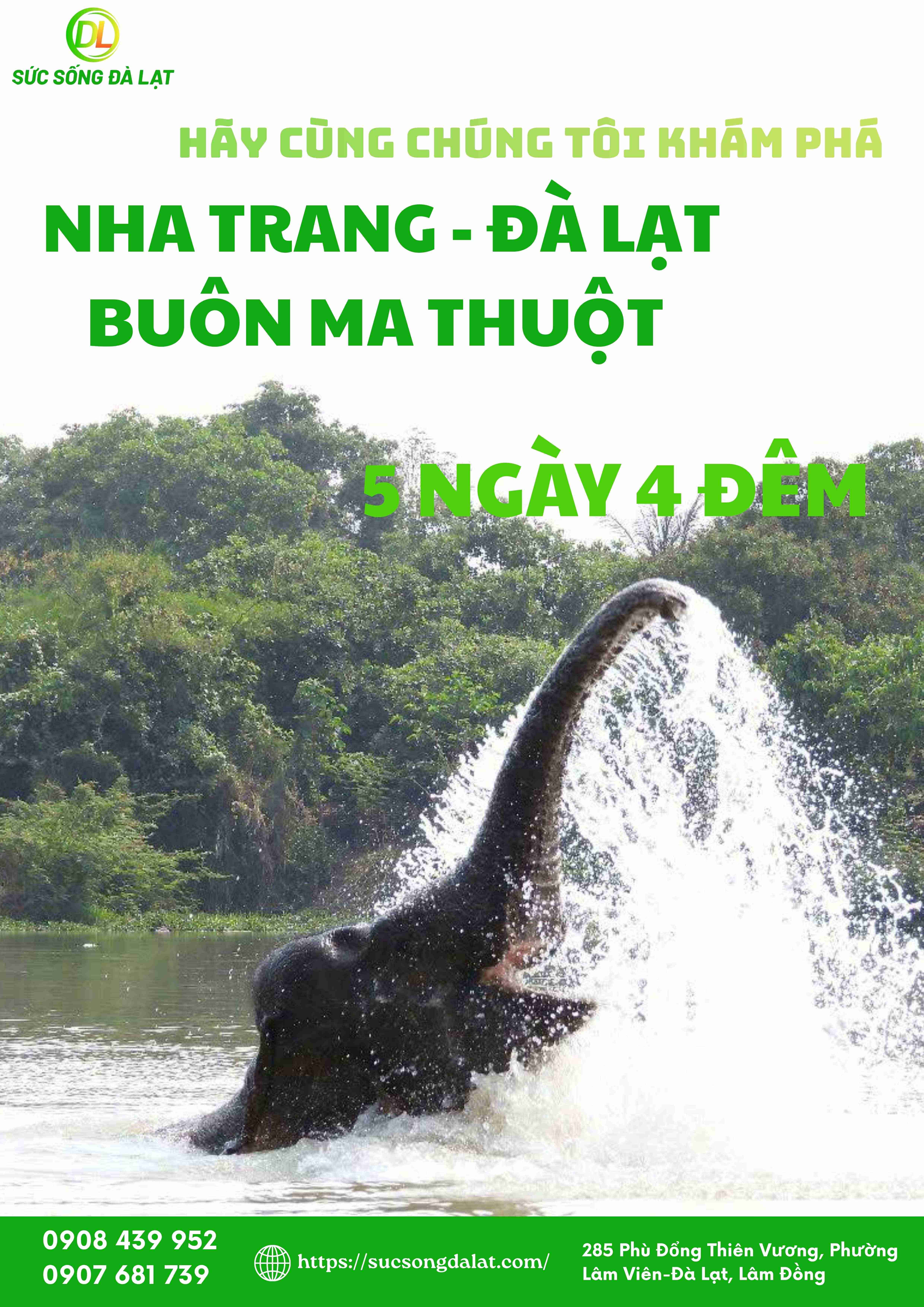 NHA TRANG - ĐÀ LẠT - BUÔN MÊ: BẢNG GIAO HƯỞNG BIỂN - RỪNG - CÀ PHÊ | TOUR 5 NGÀY 4 ĐÊM