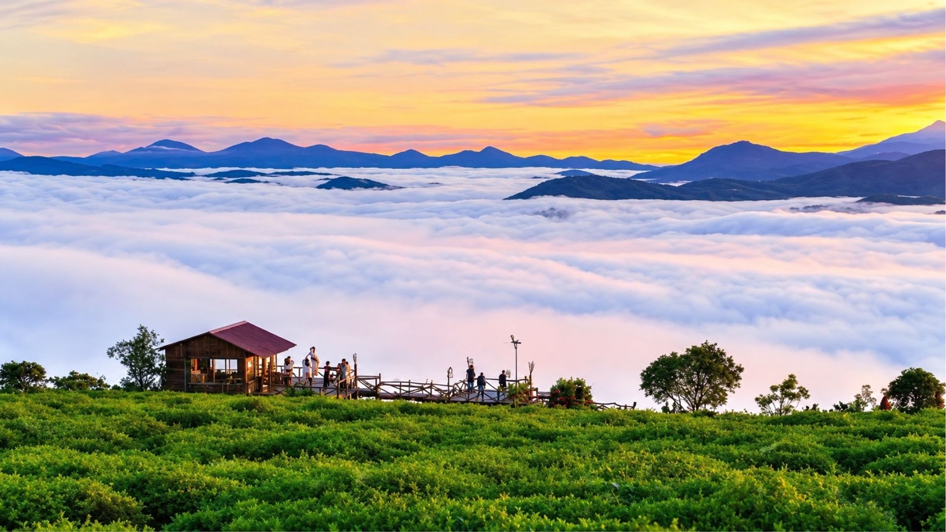 Tour 1 Ngày Chạm Mây