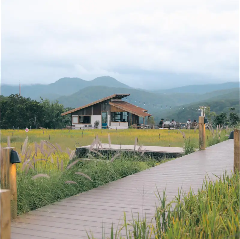 Tour 2N1D Tâm Chạm Mây Tay Chạm Thông
