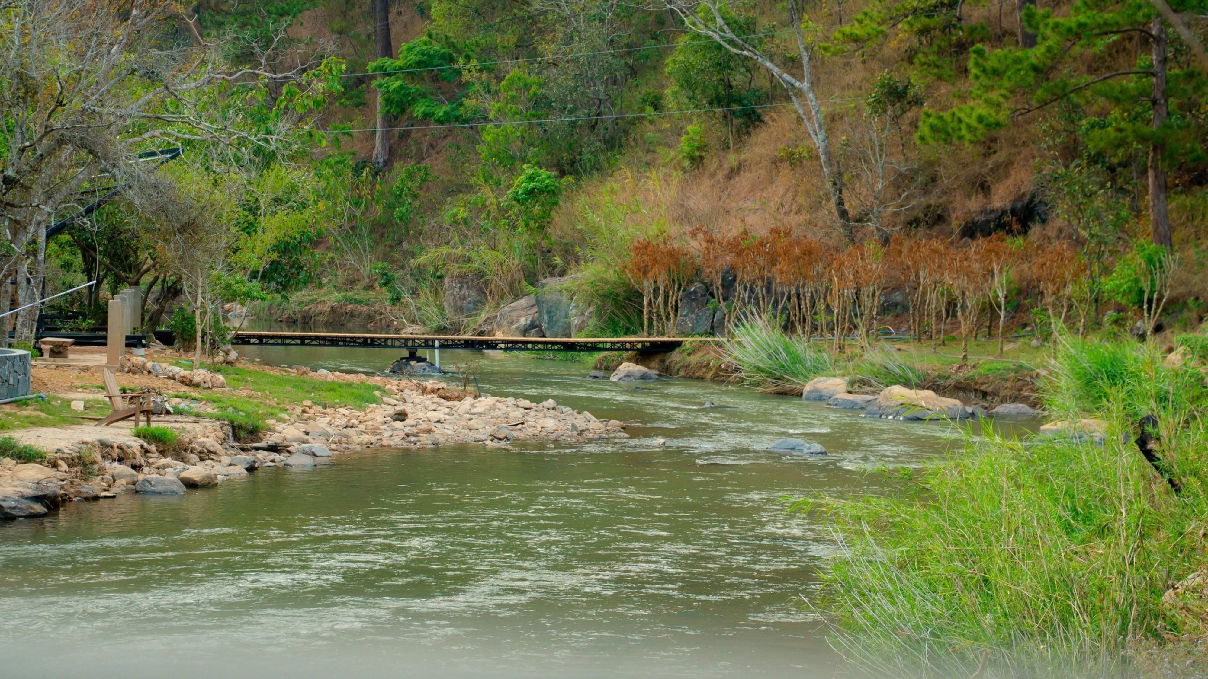 TOUR HÀNH TRÌNH XANH I TOUR NỬA NGÀY