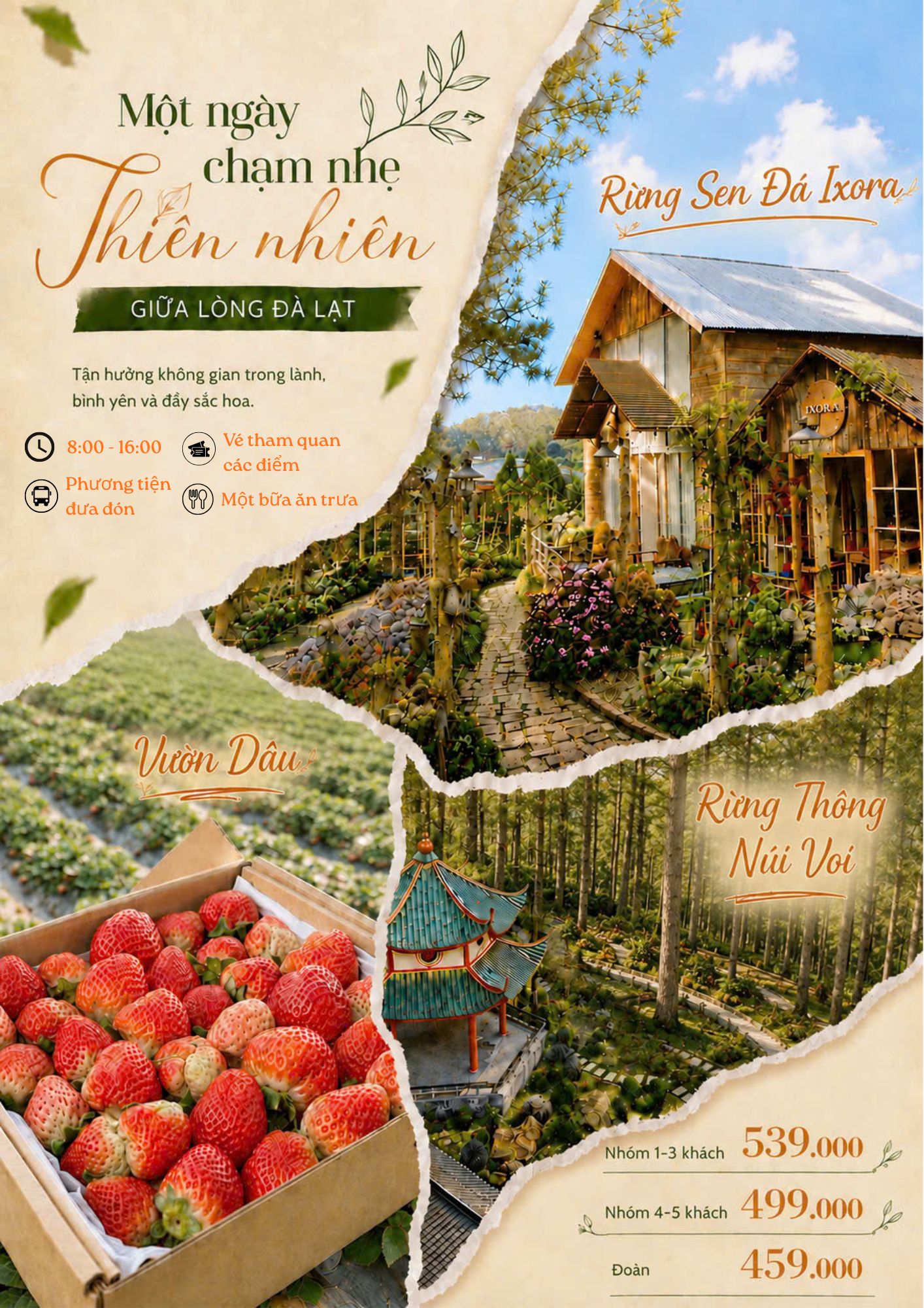 Tour 1 Ngày Chạm Nhẹ Thiên Nhiên Giữa Lòng Đà Lạt