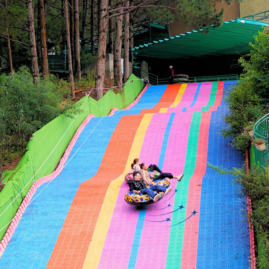 Tour 1 Ngày Wonder Land & Workshop