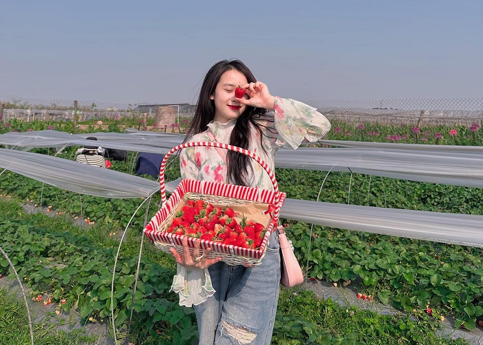 Tour 3N2D Tâm Giao Miền Mộng