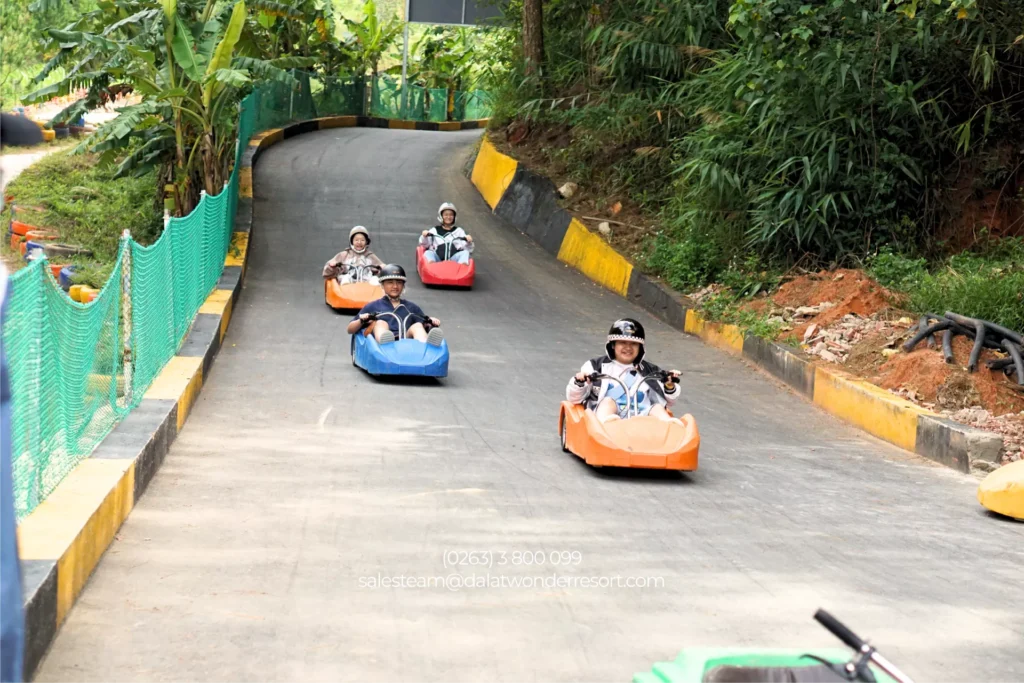 Tour 1 Ngày Wonder Land & Workshop