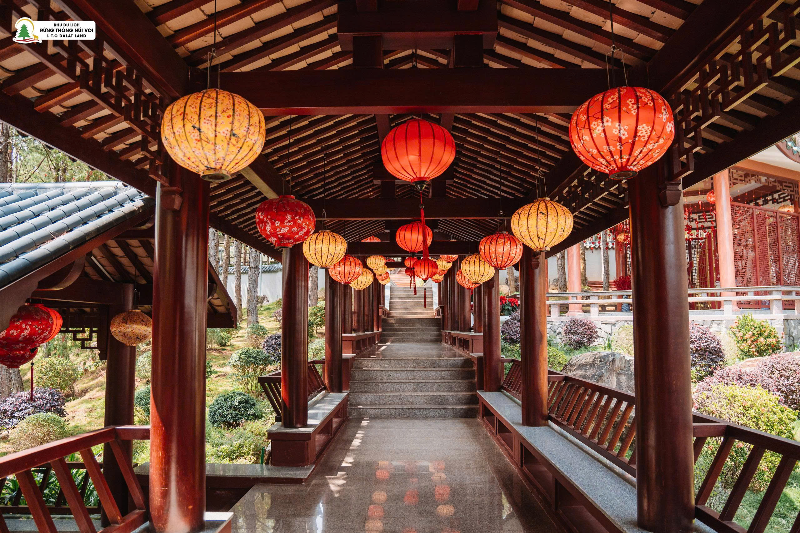 Tour 3N2D: Hành Trình Du Ngoạn Đà Lạt 3N2D