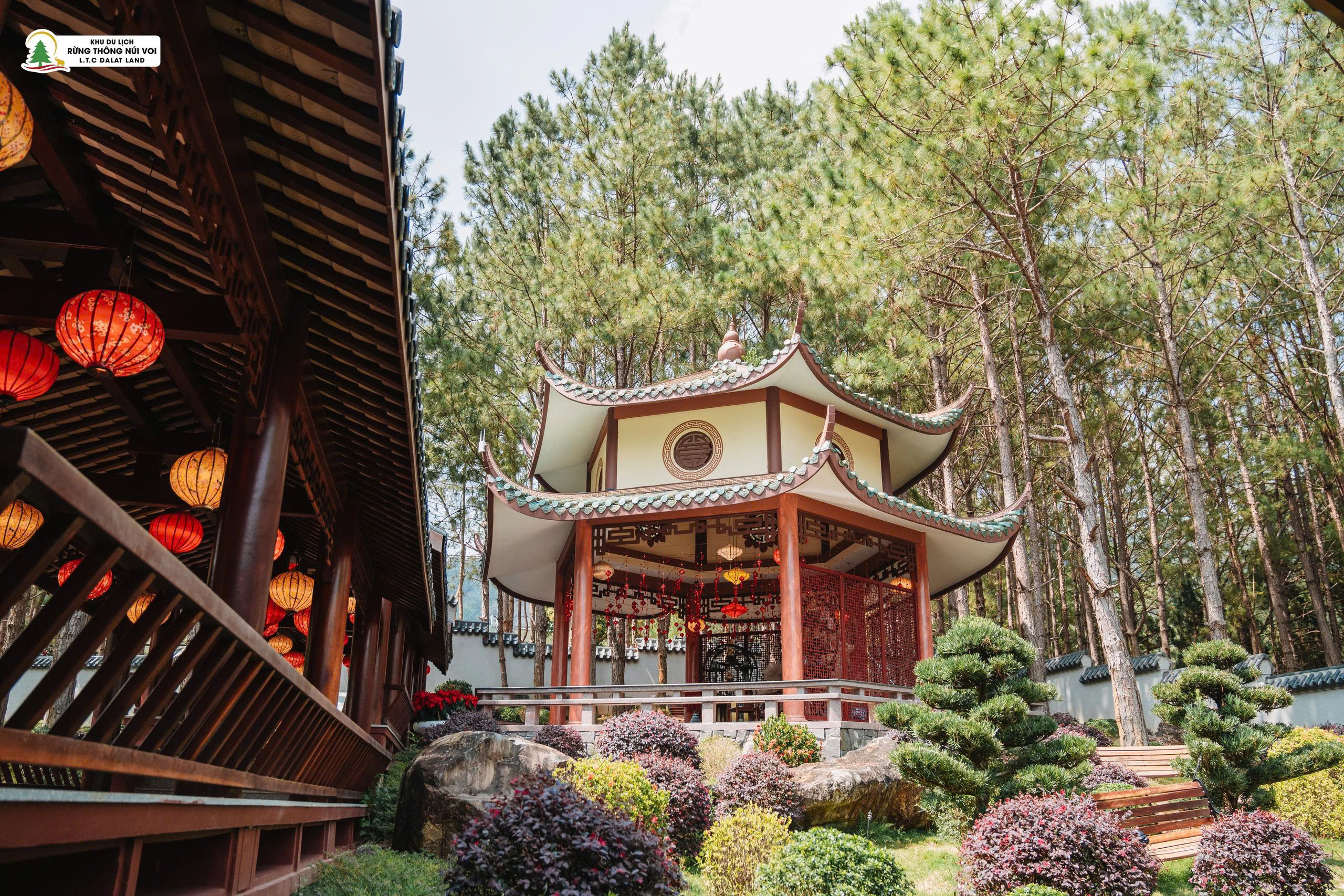 Tour 3N2D: Hành Trình Du Ngoạn Đà Lạt 3N2D