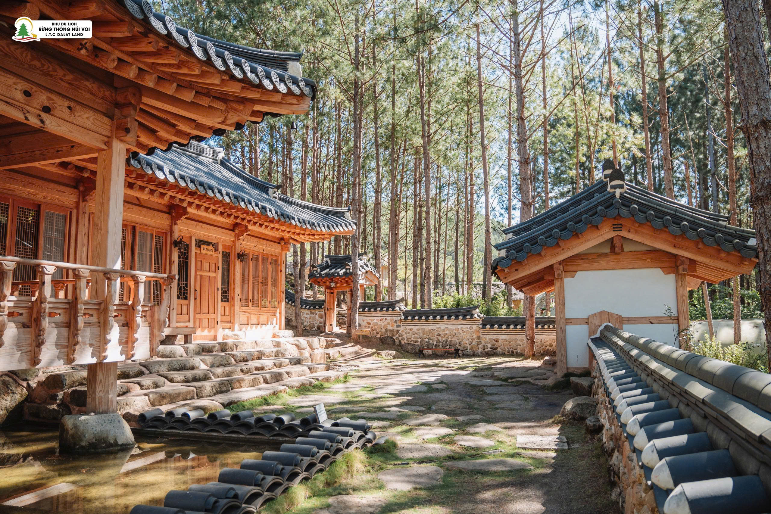 Tour 5N4D Rừng Và Biển