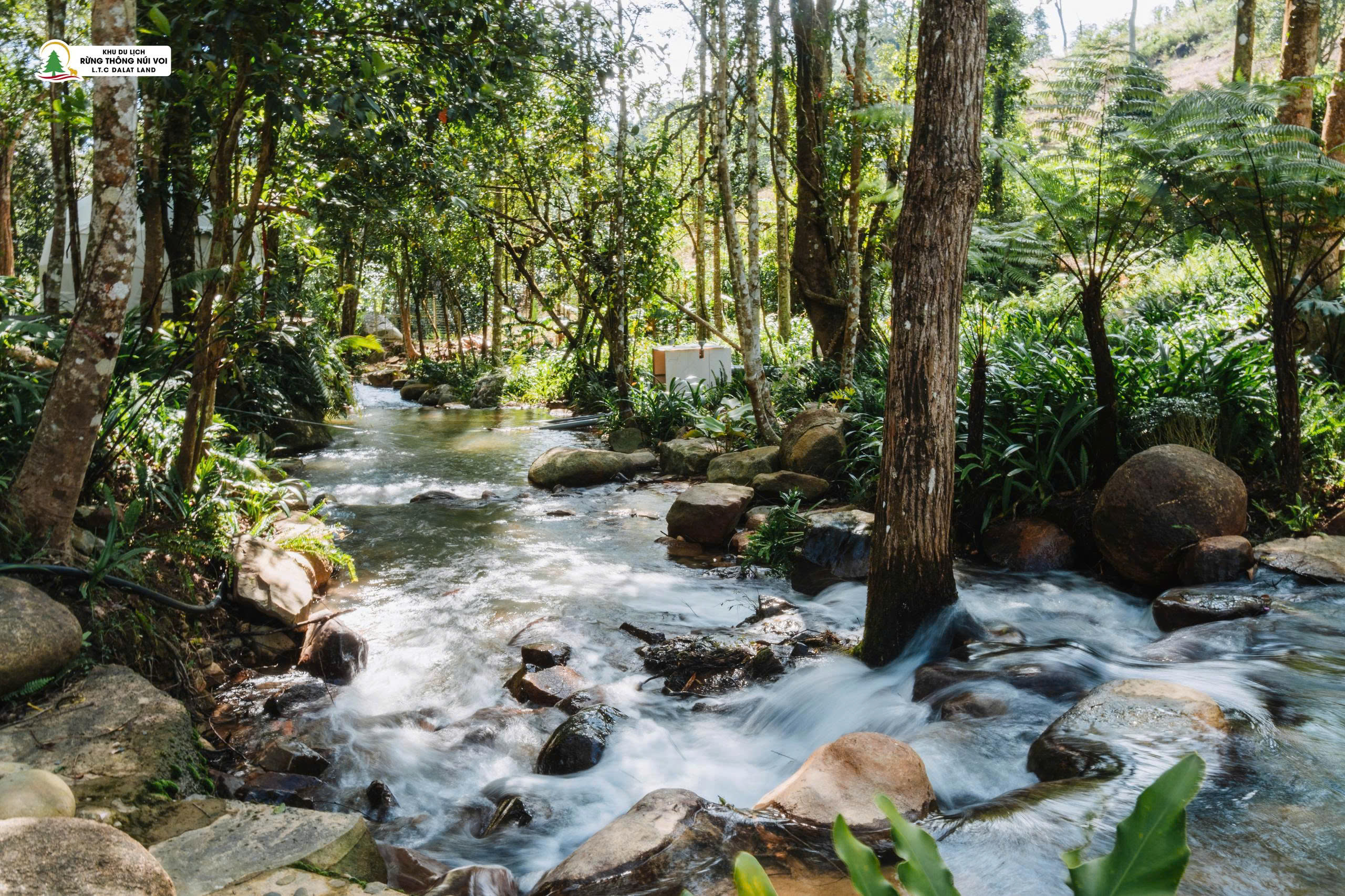 Tour 3N2D Tâm An Giữa Đại Ngàn