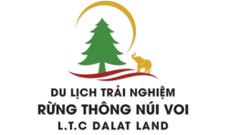Thương hiệu
