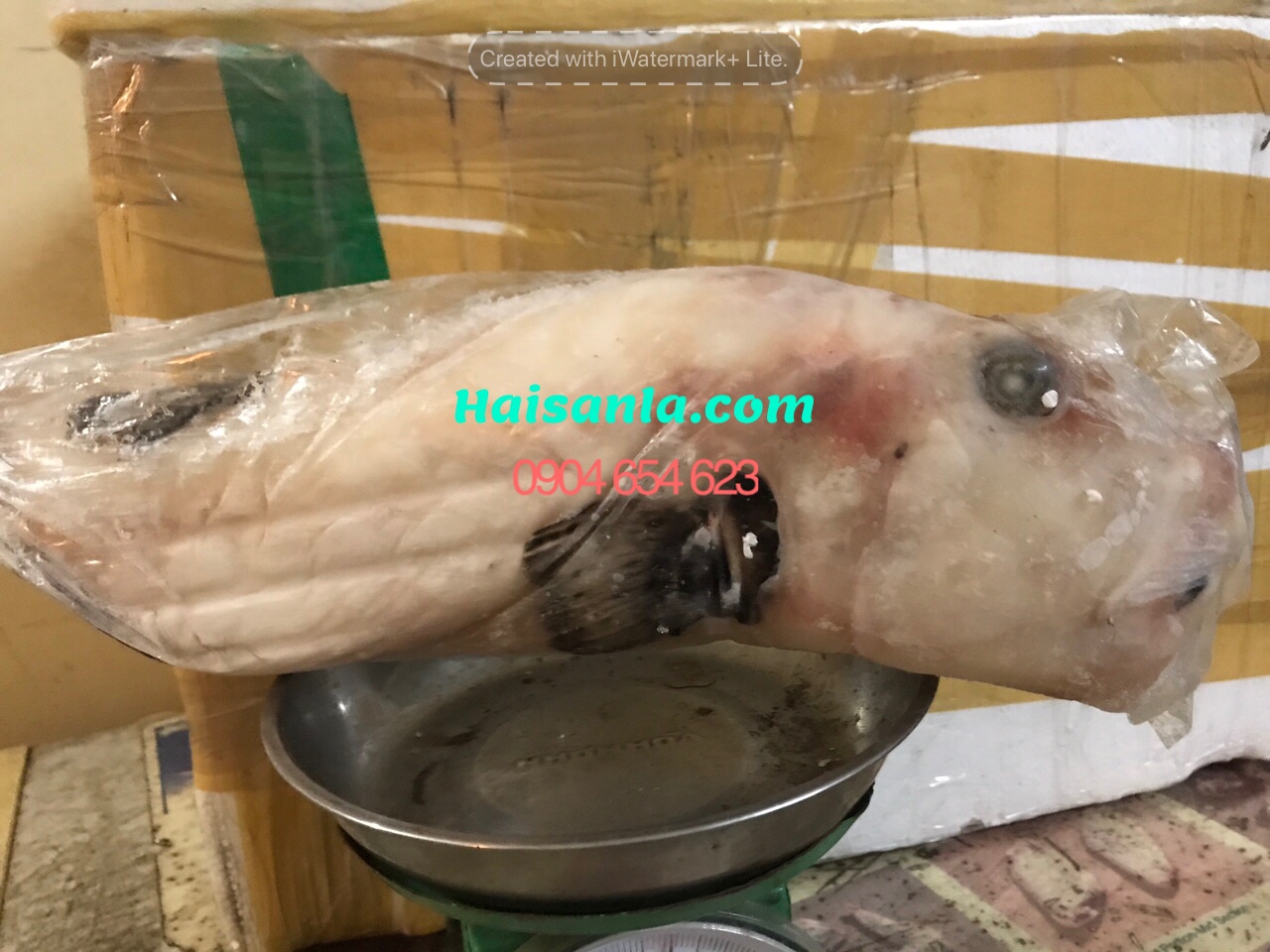 Cá thỏ biển rang muối