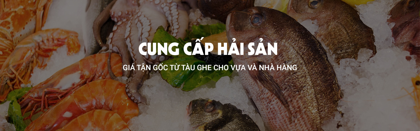 Đánh bắt hải sản