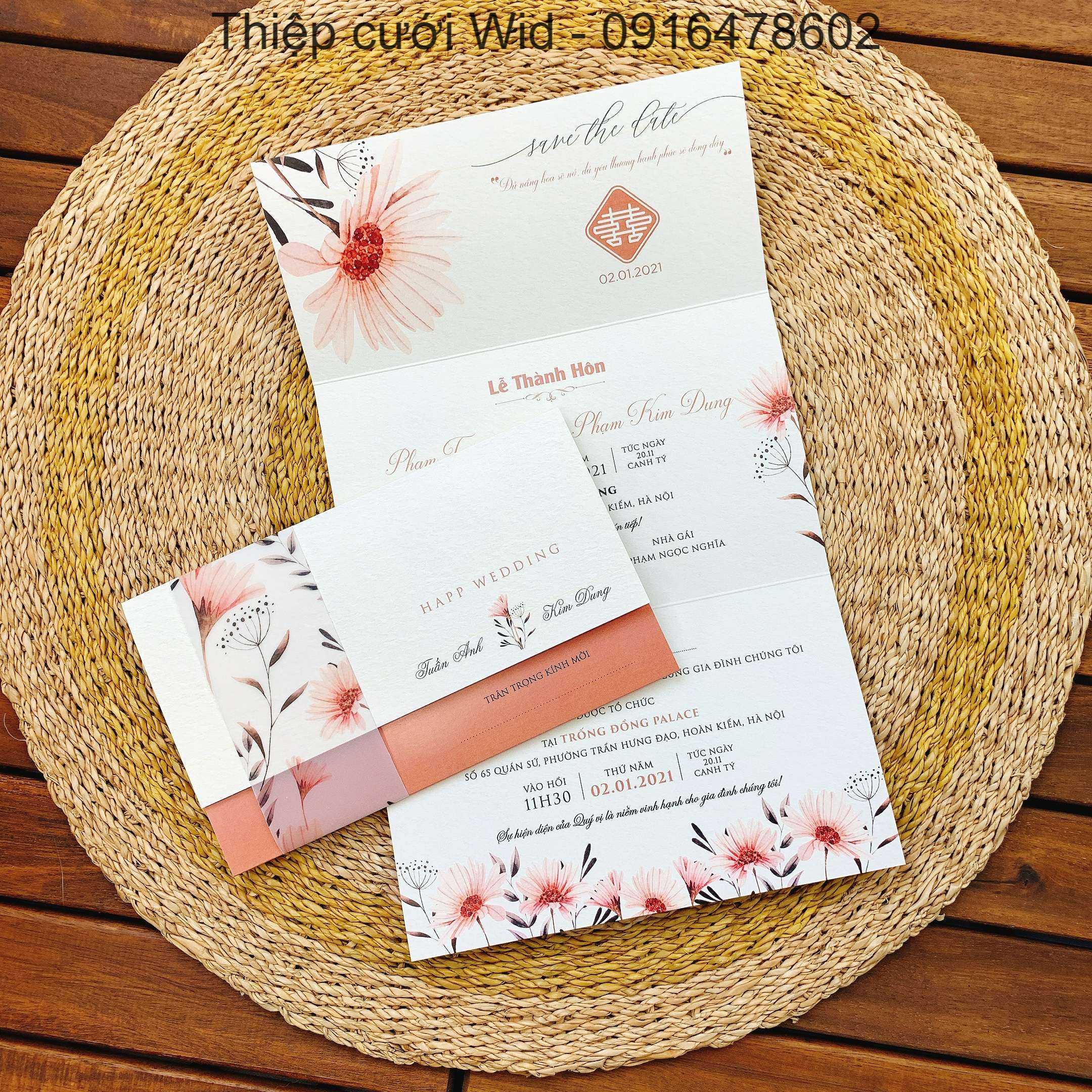 Ngang 222 - Mẫu hoa đồng tiền cam