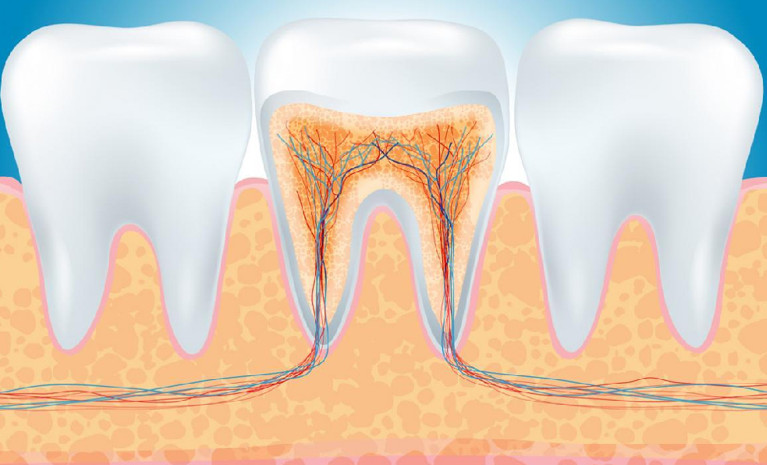 [Điều trị nội nha] 10 loại ống tủy cần lưu ý