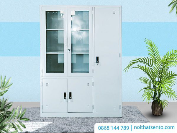 Top 20 cây cảnh văn phòng phong thủy thẩm mỹ 2025