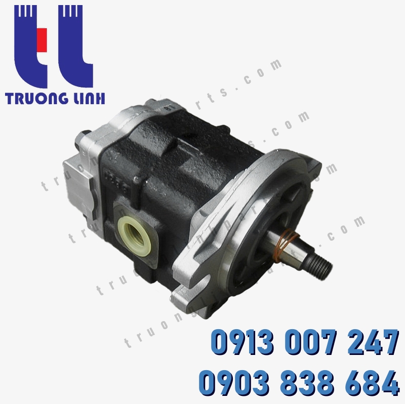 Bơm Thủy Lực DSG05-18L182