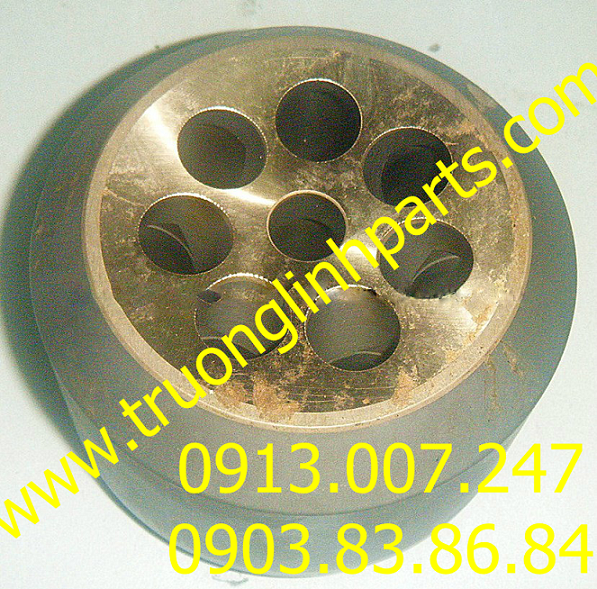 Phụ tùng hydraulic pump - Xi lanh A8V107