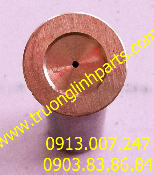  Phụ tùng bơm thủy lực - Piston PSVD2-21 