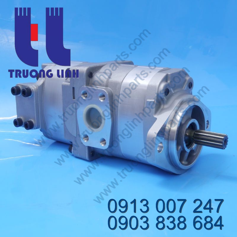 Bơm Thủy Lực Komatsu 705-51-20640