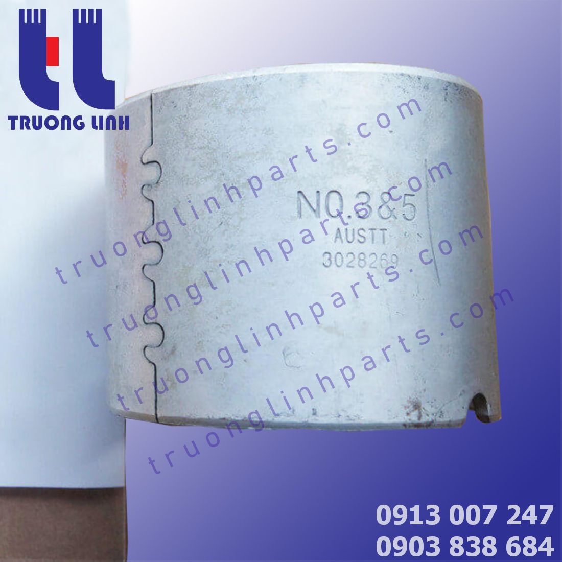 3028075 Bạc lót trục cam Cummins