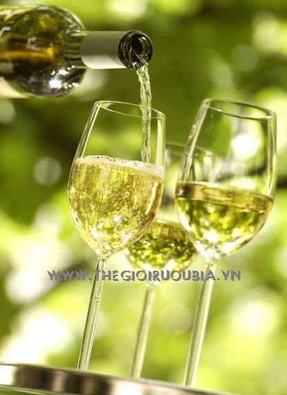Rượu Vang Riesling
