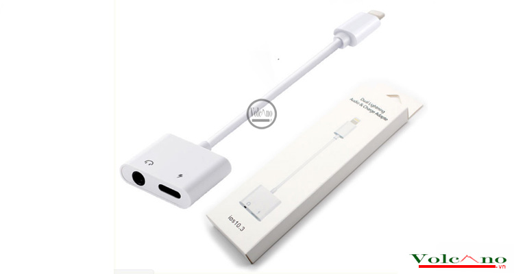 Phát Đạt Lê Văn Qưới