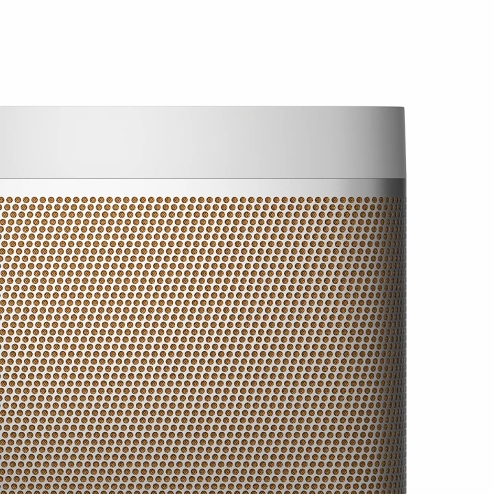 Loa B&O Beolit 20 (70W, Pin 8h, Sạc không dây)