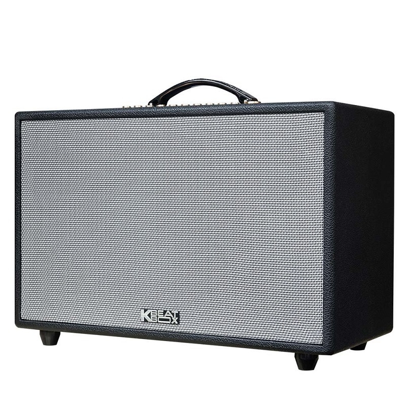 Loa Xách Tay Acnos CS3600 (Bass 25cm, 200W, Bluetooth 5.0)