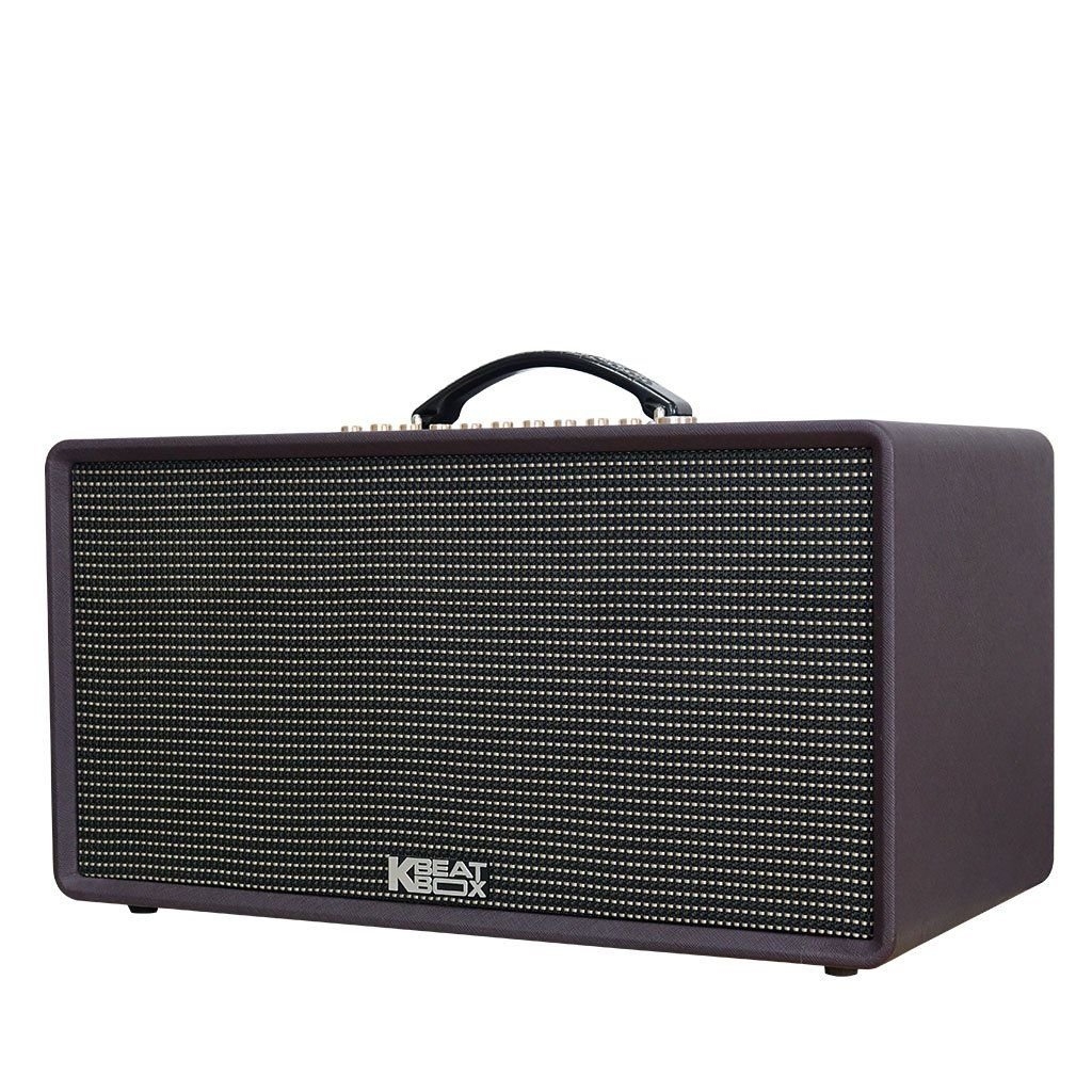 Loa xách tay Acnos Flac 36 (200W, Bluetooth 5.0, kèm 2 tay micro)