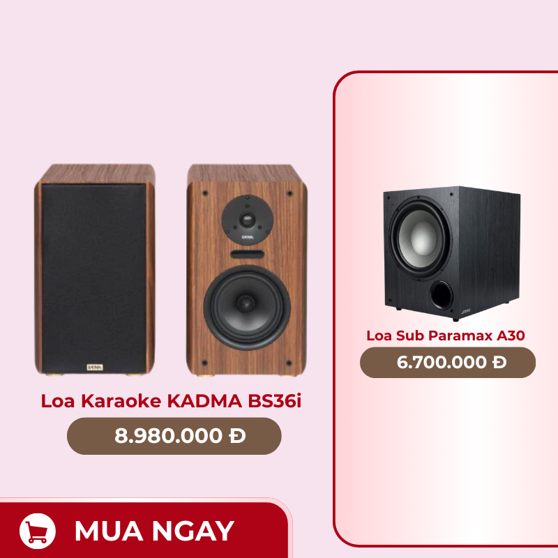 Loa Karaoke KADMA BS36i + Loa Sub Jamo C910