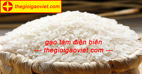 Gạo tám Điện Biên – đặc sản Tây Bắc nức lòng bao người