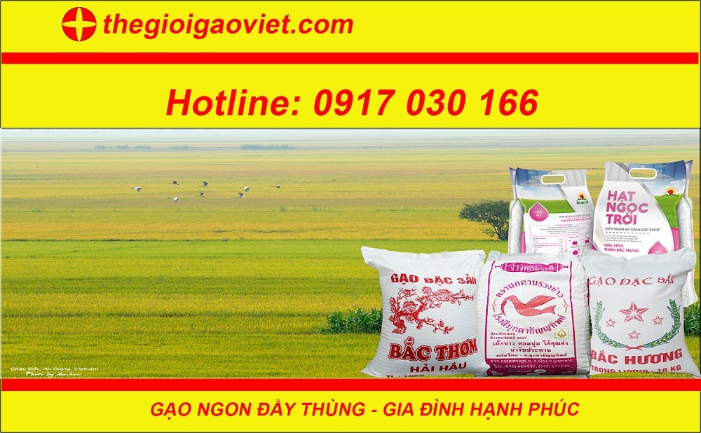 Những loại gạo người dân miền bắc ưa chuộng nhất