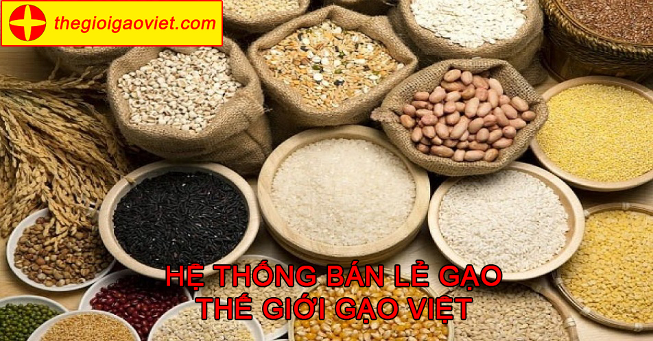 Gạo ngon nhất ở Việt Nam là gạo gì