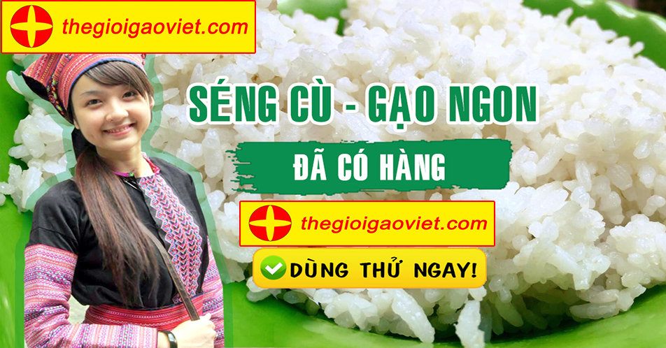 Những kiến thức cần biết về gạo séng cù